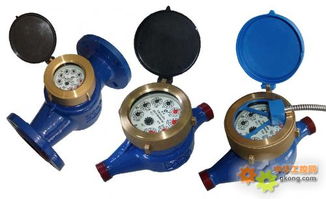 数字远传抄表水表 智能水表 数字远传水表 远传数字水表