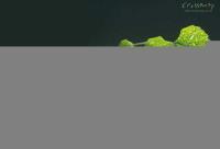 洗澡刷ic卡水表洛阳水管家牌智能感应卡水控机_安全防护_世界工厂网中国产品信息库